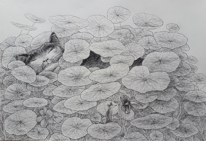 Jilles van de Warenburg - Beeldend kunstenaar en Illustrator